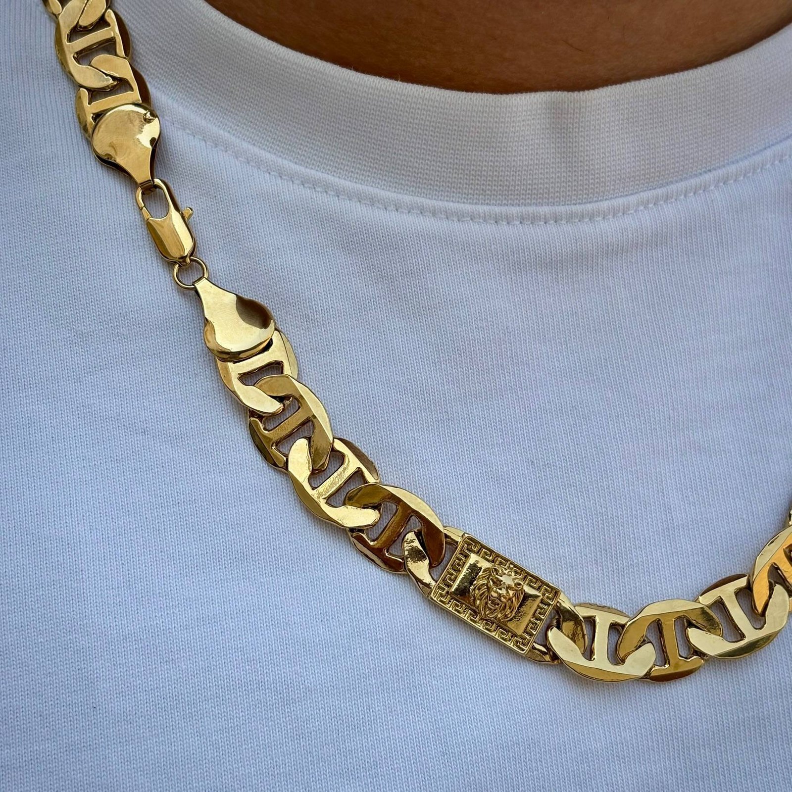 Cadena italiana con León - Imagen 2