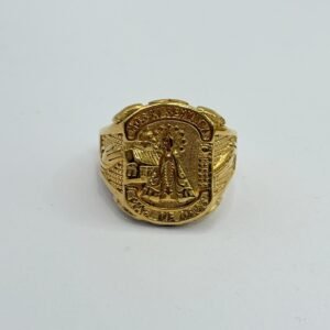 Nº099 Anillo Virgen