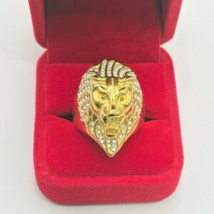 Nº096 Anillo León de Brillo