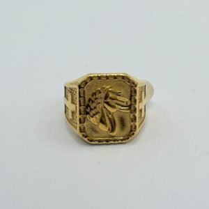Nº084 Anillo de Caballo