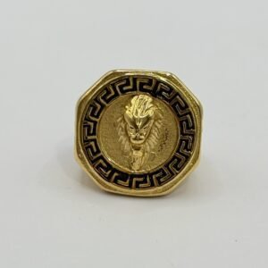 Nº080 Anillo de León hexagonal