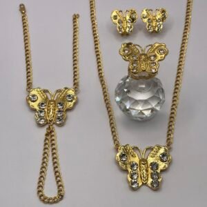 Conjunto de Mariposa con Piedras
